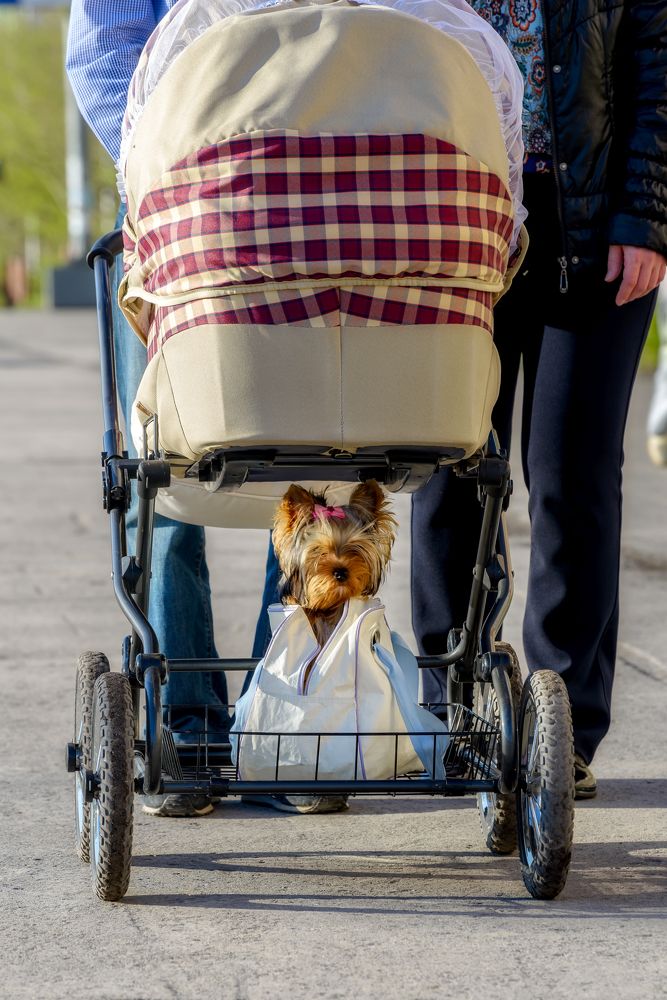 Photograph by Макуха Ольга