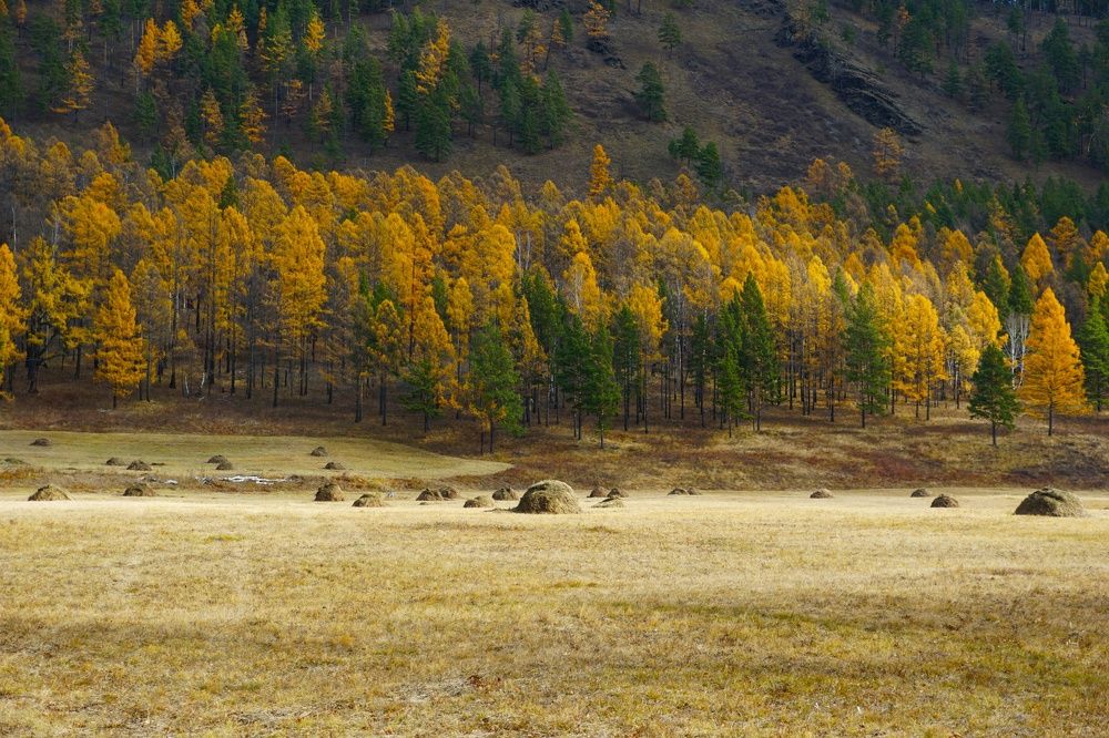 Photograph by Анастасия Скворцова