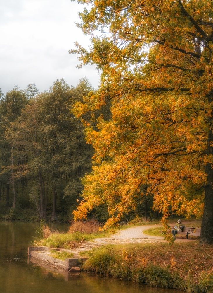 Photograph by Елена Пасажицкая