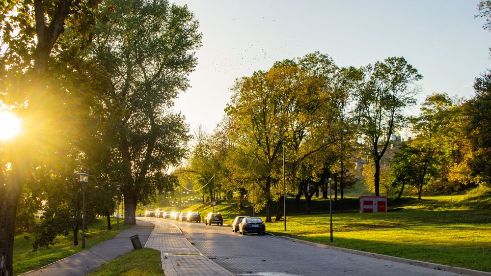Photograph by Алексей Борисов