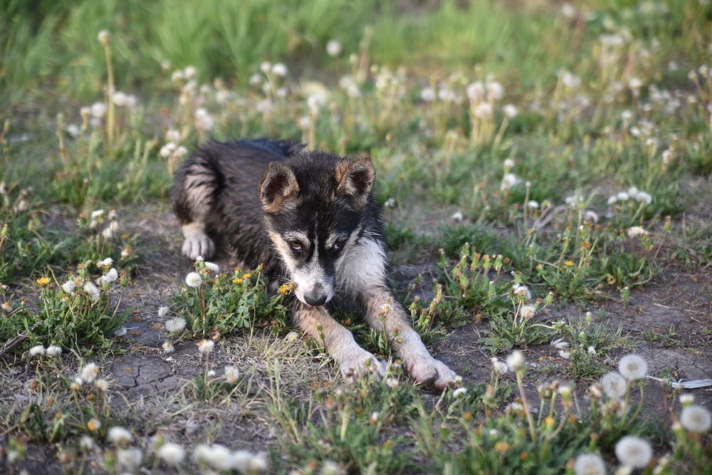 Photograph by Наталья Сорокина