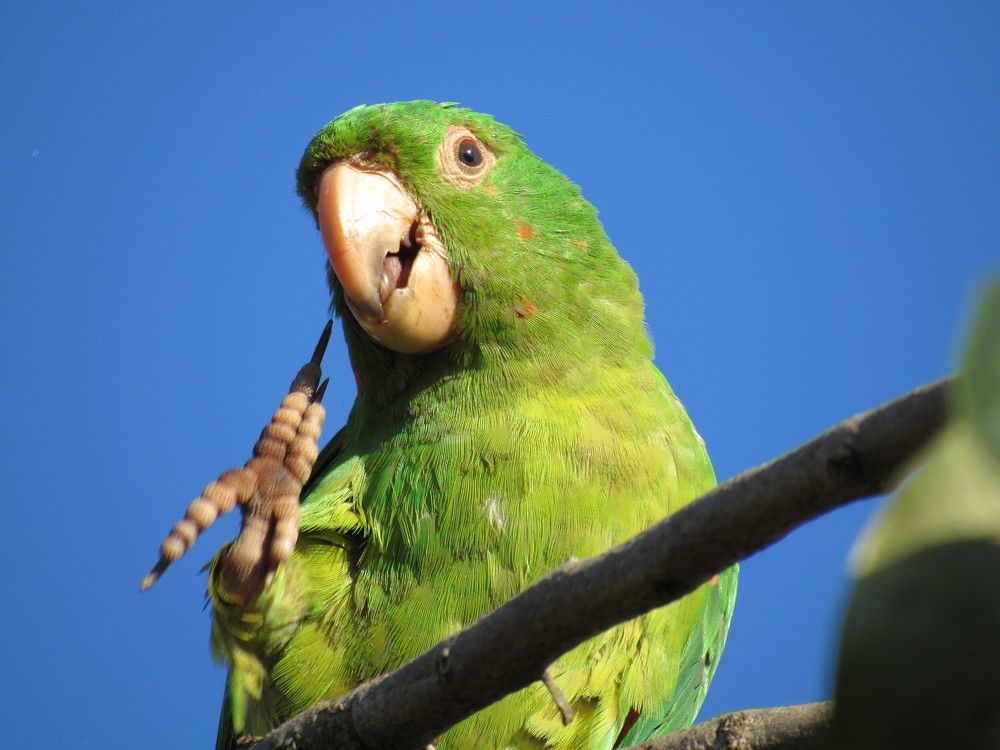 Photograph by Juliana