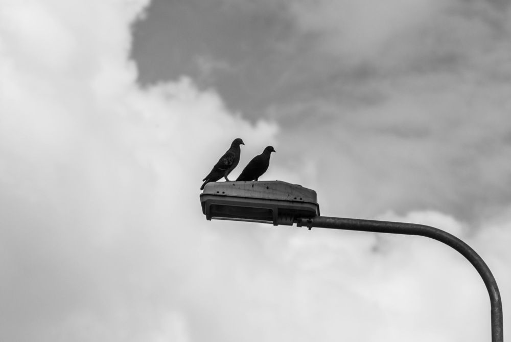 Фотография автора Phuong Thoa Vuong Thi