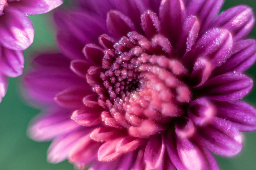 Photograph by Наталья Островцева