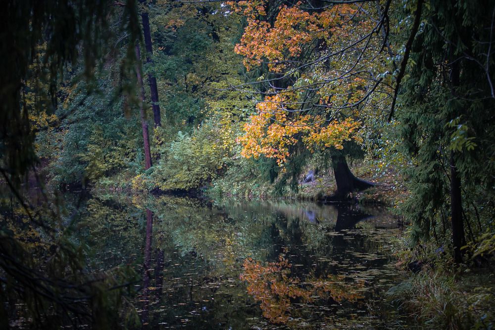 Photograph by Очева Наталья Александровна