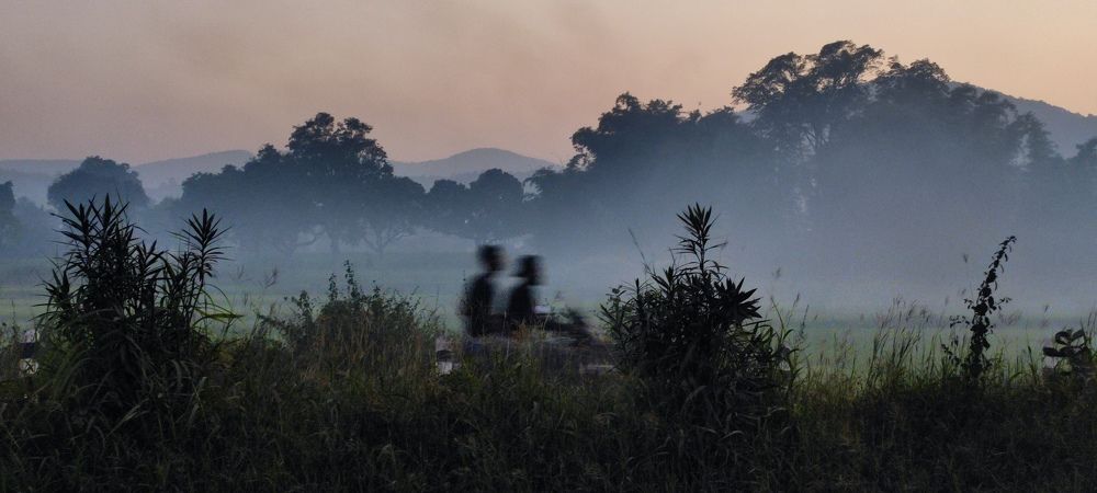 Фотография автора Santanu Dasgupta