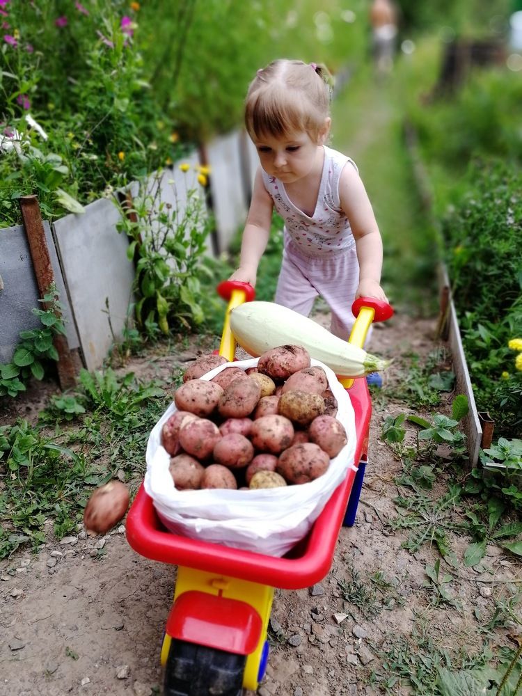 Photograph by Мостовой Дмитрий