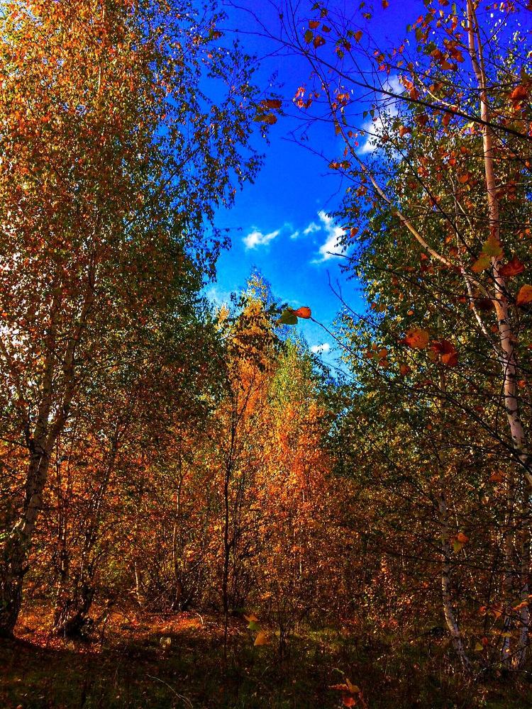 Photograph by Настя Настена