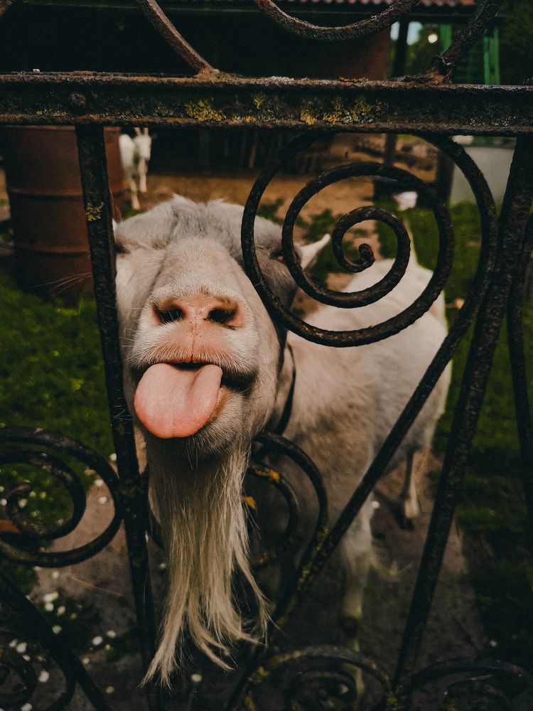 Photograph by Света Вирбицкас