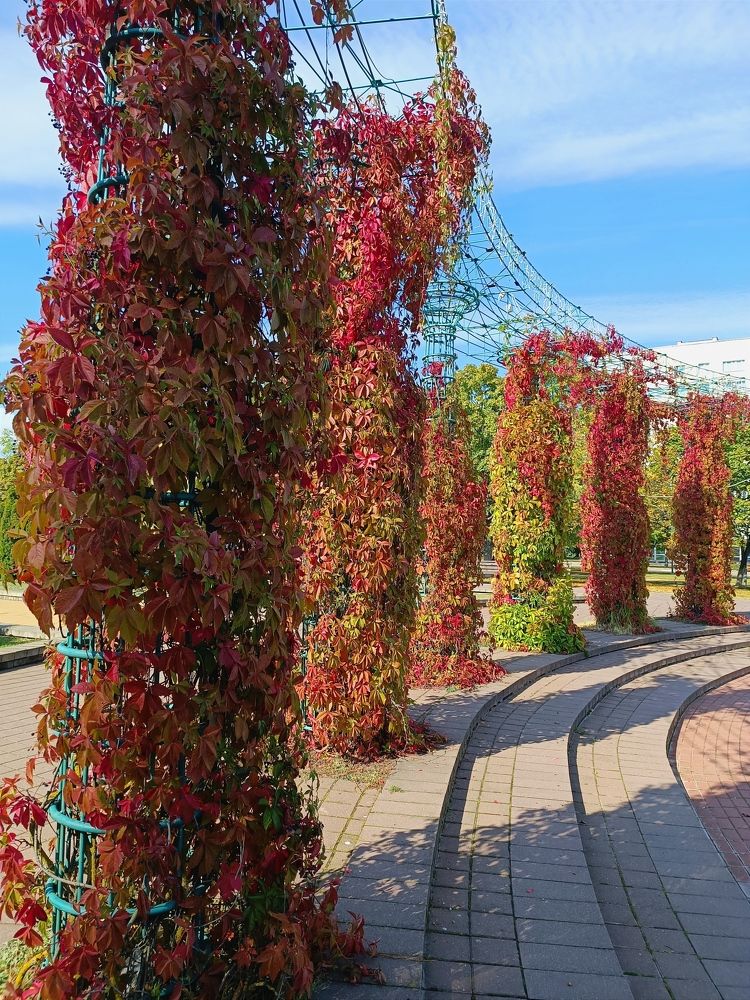 Photograph by Елена Пархоменко