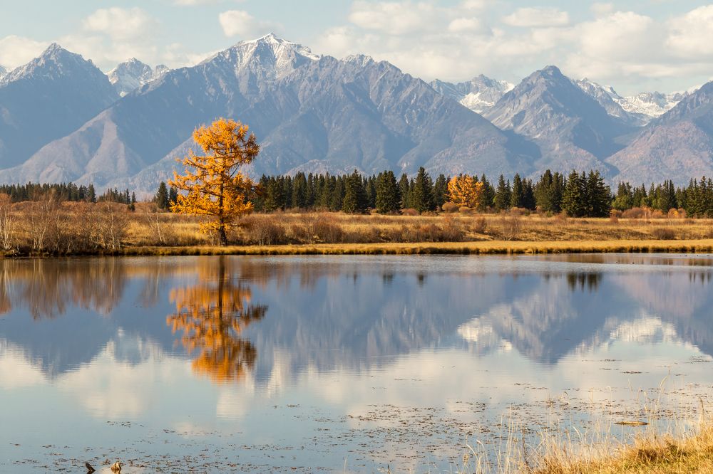Осенние краски октября