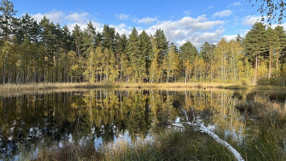 Photograph by Елена Гущина