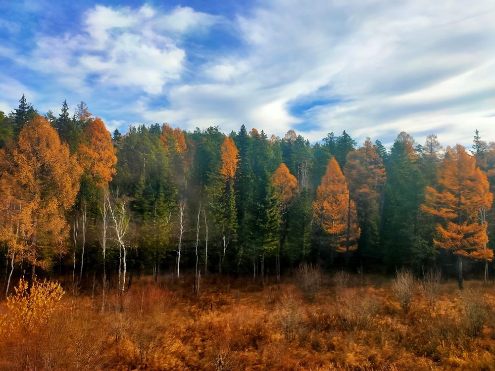 Photograph by Наталья