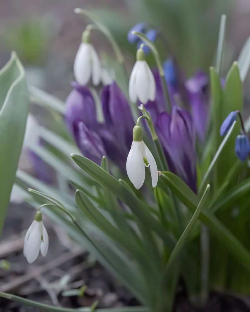 Photograph by  Анастасия Тимарг