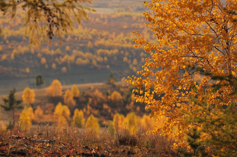 Photograph by Aleksey Maevskiy