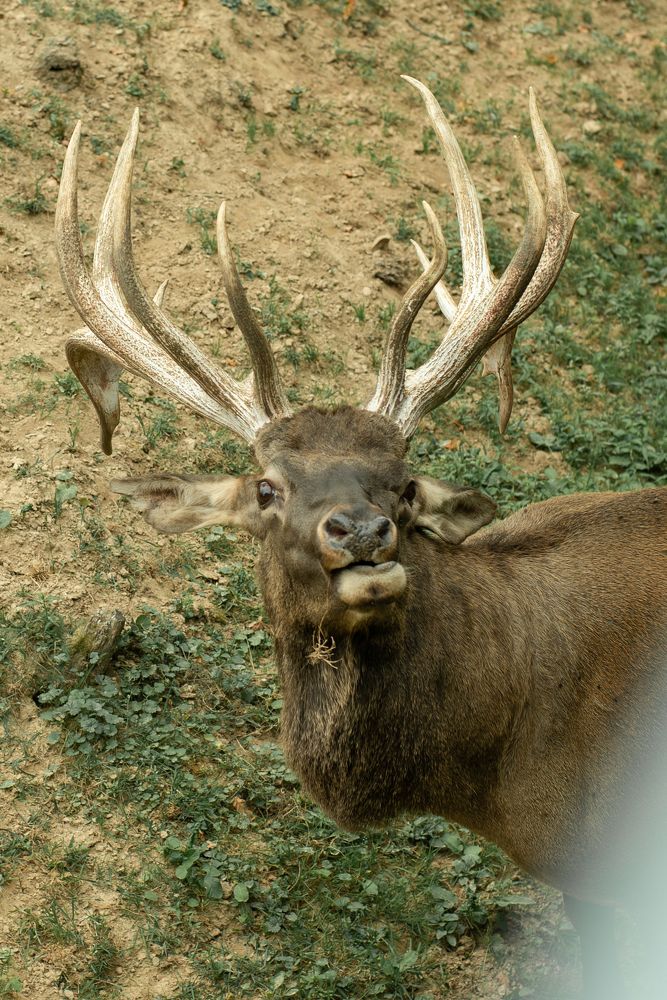 Фотография автора Алёна Подгорная
