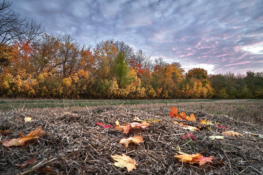 Осенние Липецкие закаты