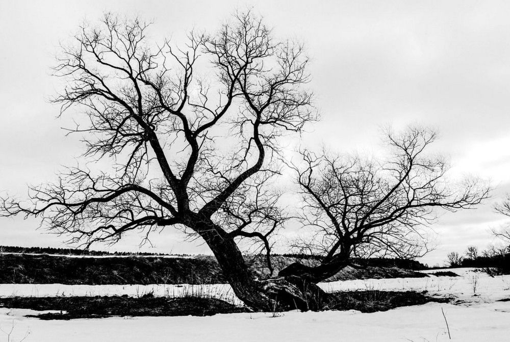Photograph by 