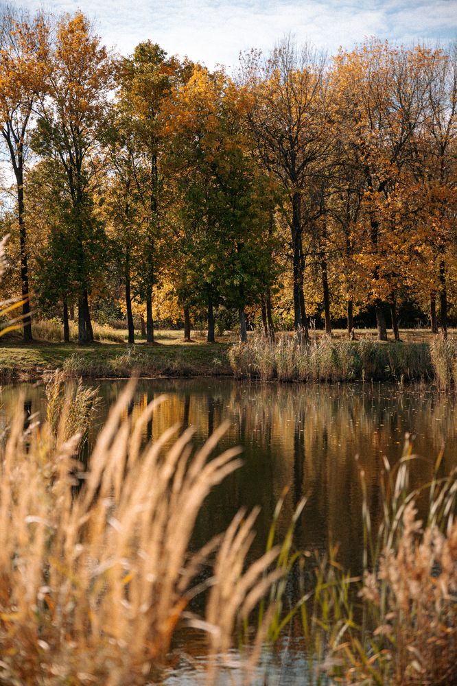Фотография автора Лукашенко Ольга