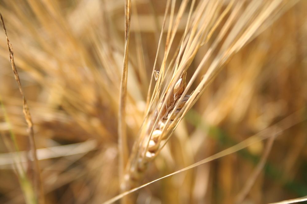 Photograph by афонский николай