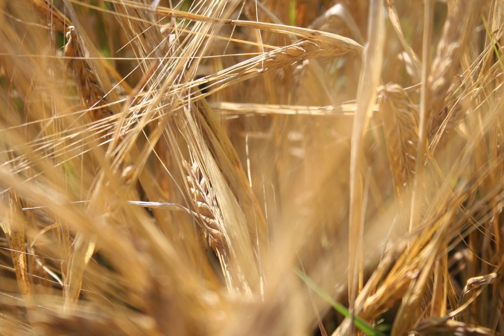 Photograph by афонский николай