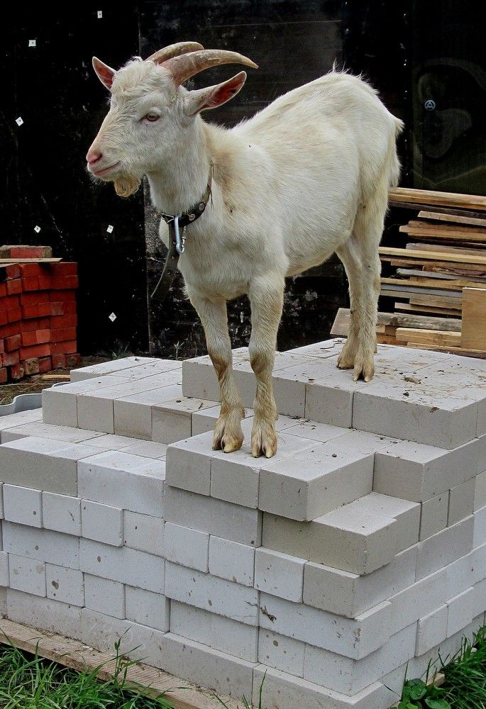 Photograph by Михаил Попов