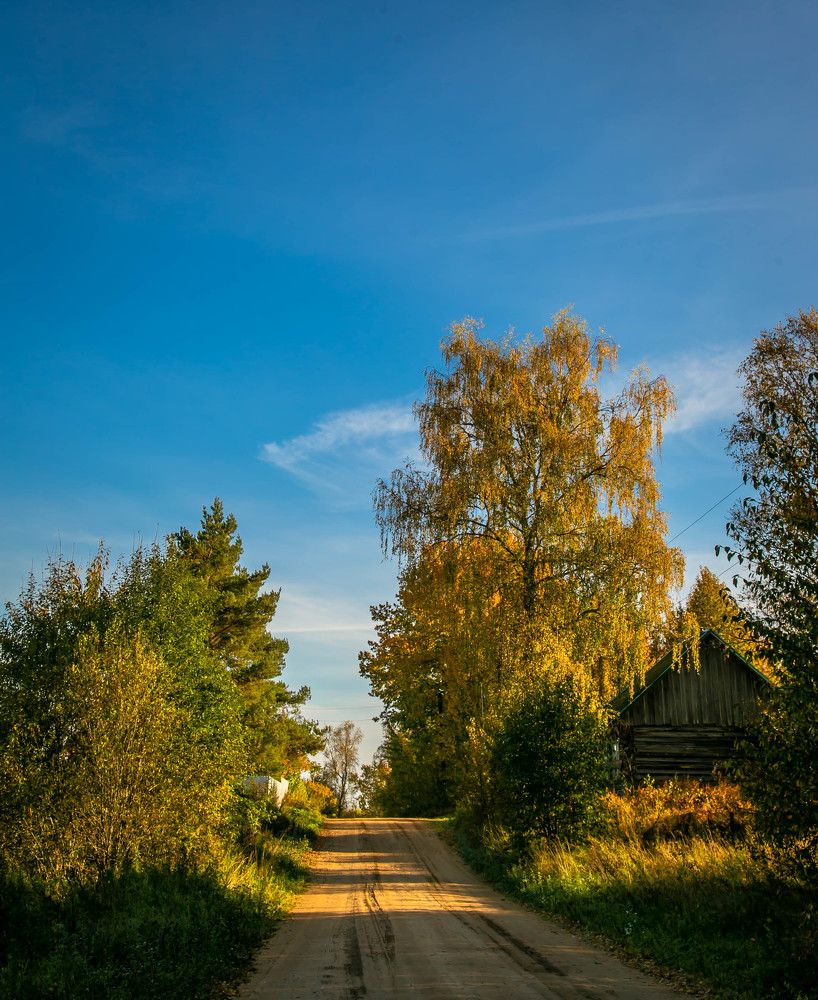 Photograph by Ольга Сафронова