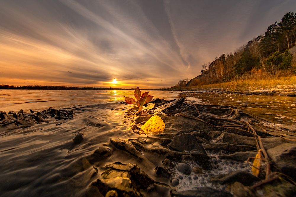 Photograph by Александр Разумов