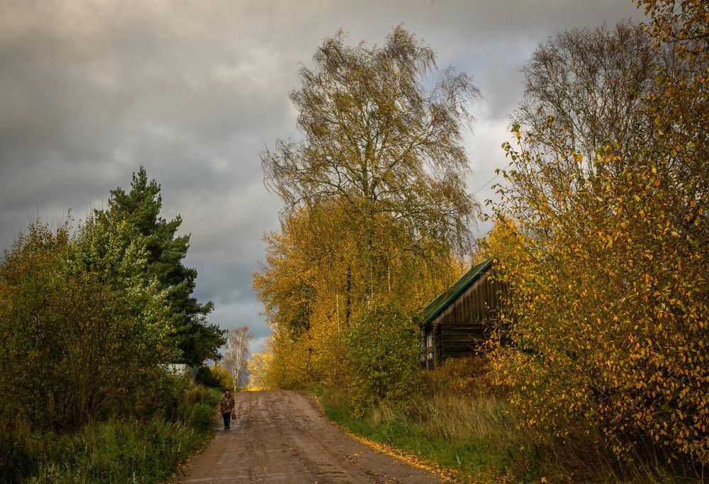 Photograph by Ольга Сафронова