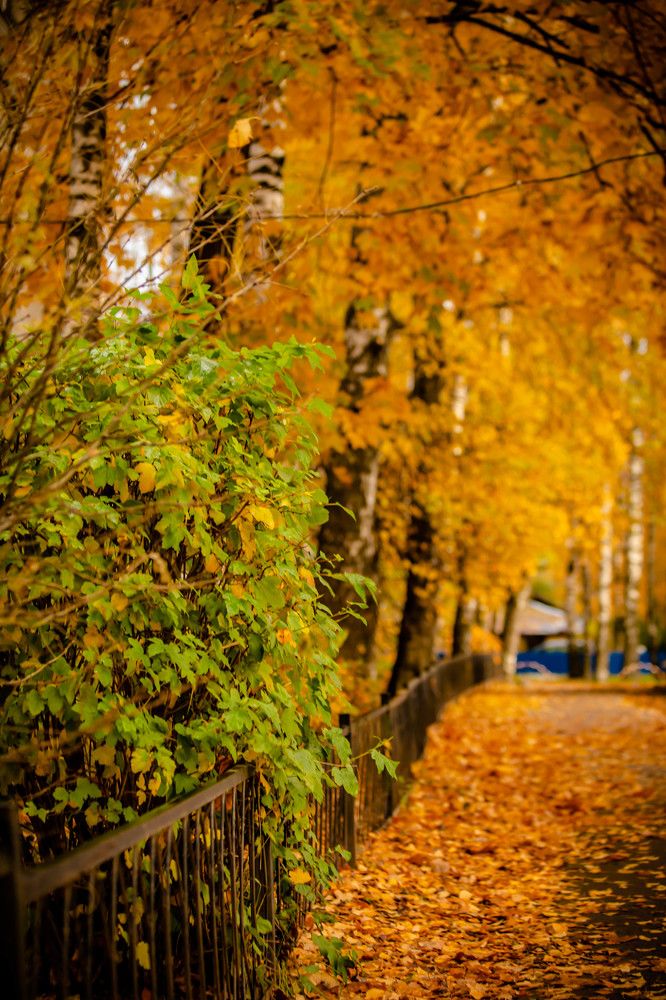 Photograph by Ольга Сафронова