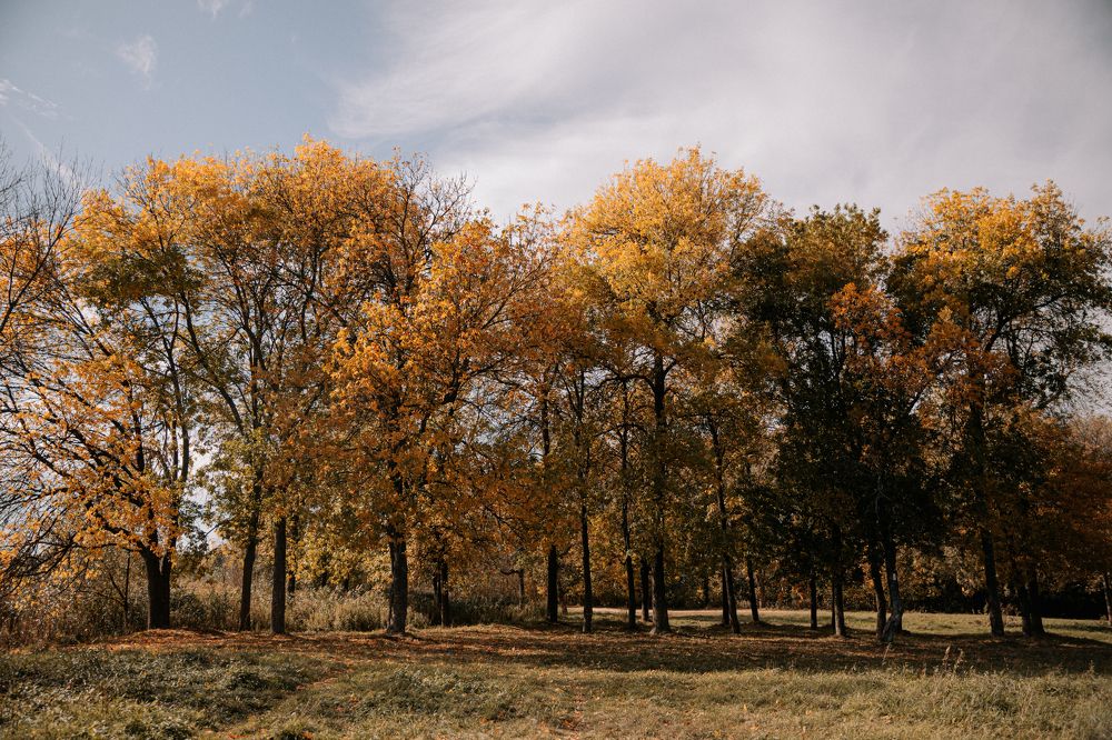 Фотография автора Лукашенко Ольга