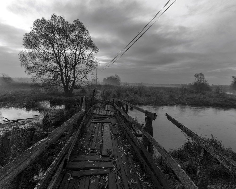 Photograph by Александр Литвинов