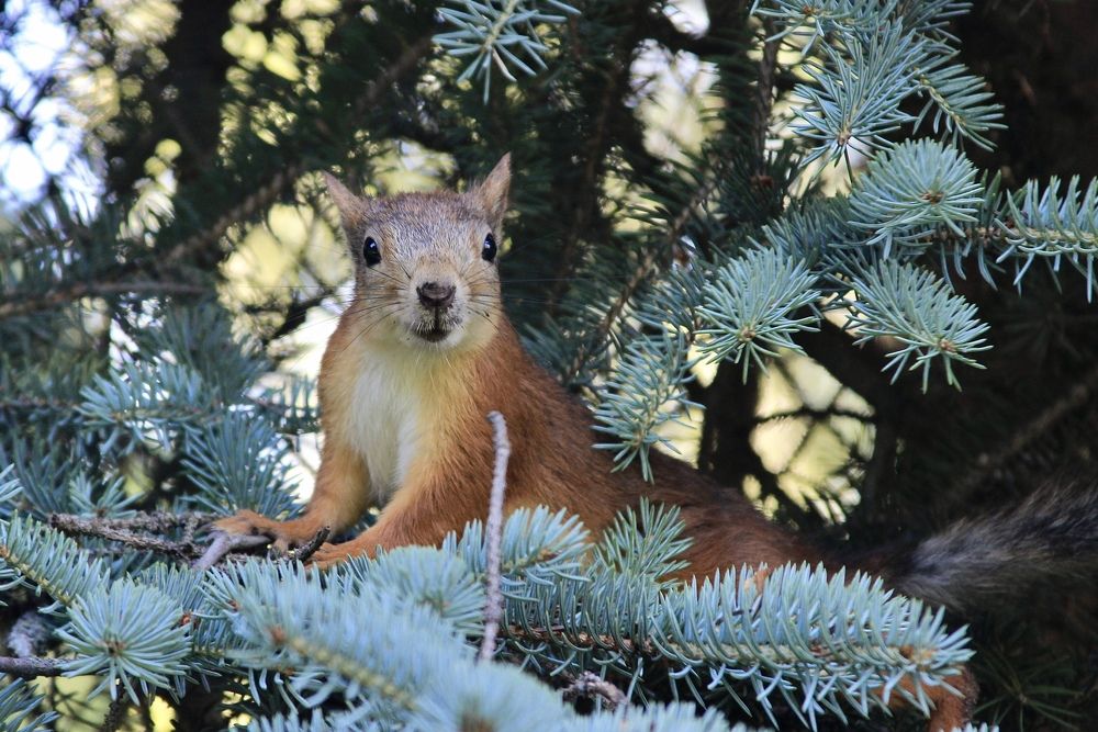 Photograph by Олег Банковский