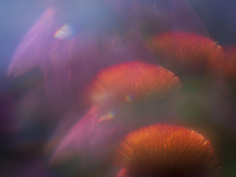 Photograph by Вера Рябинина