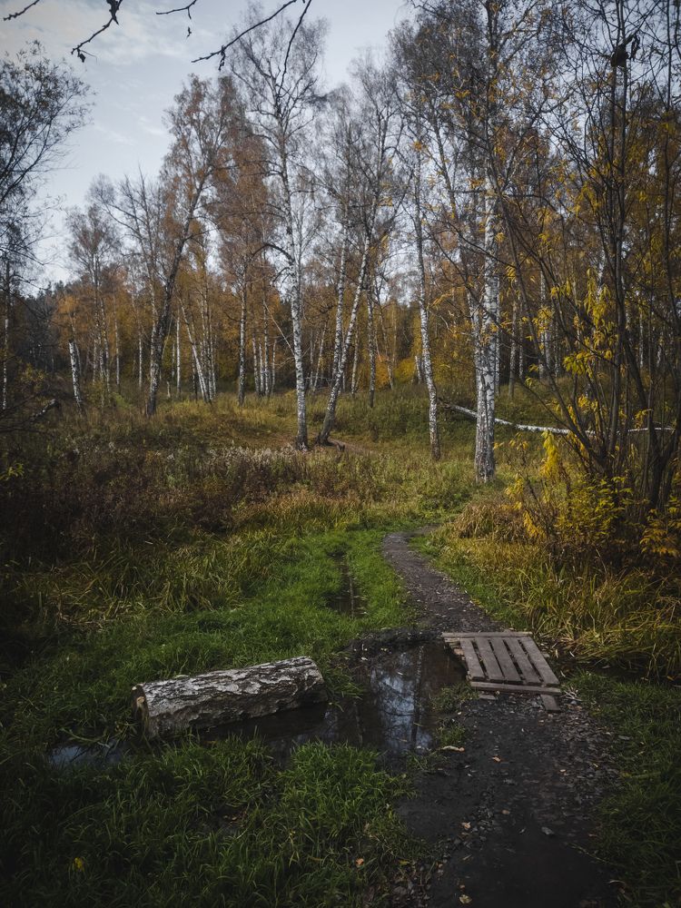 Photograph by Николай Головко