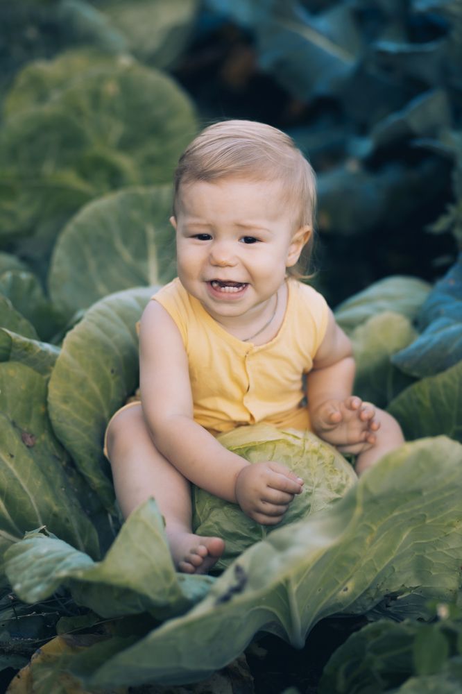 Photograph by Светлана Подгайская