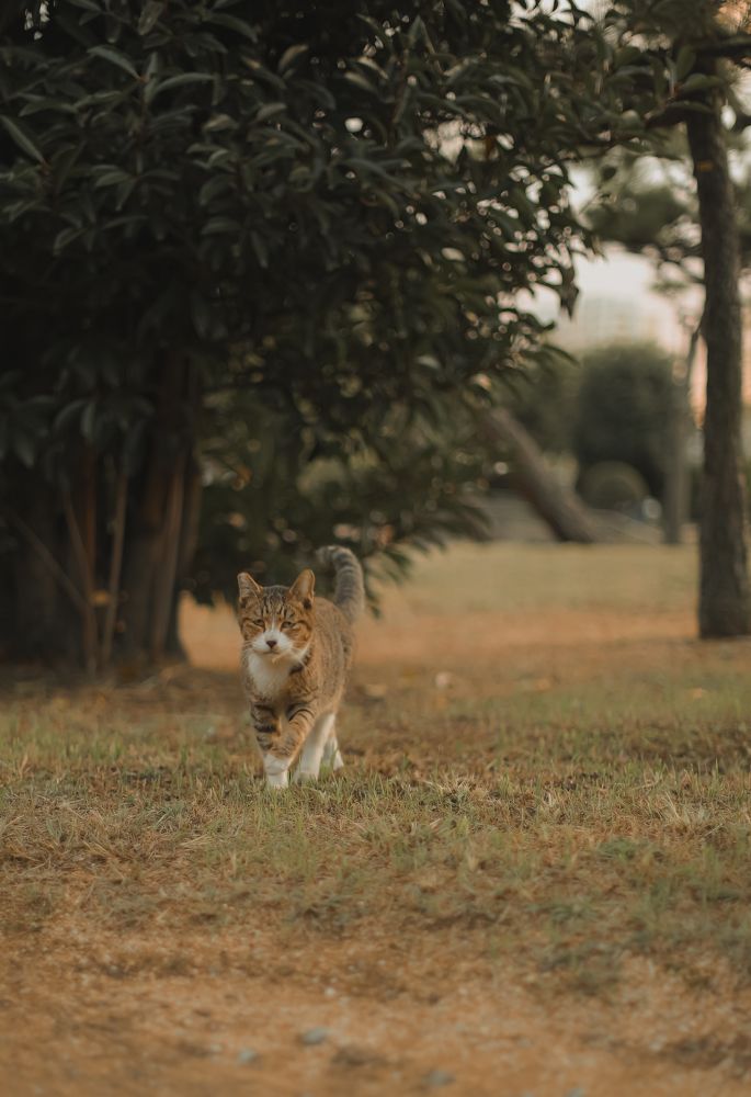 Фотография автора Bùi Nguyễn