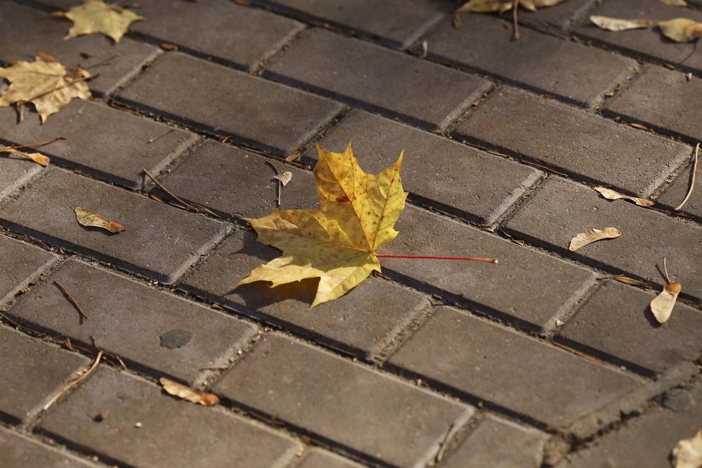 Photograph by Елена Буканина