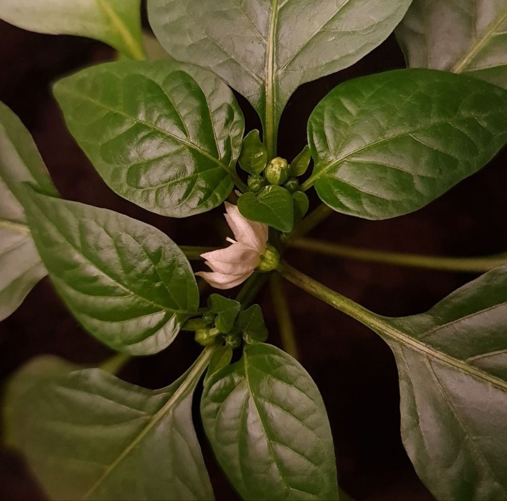 Фотография автора Анастасия Остапчук