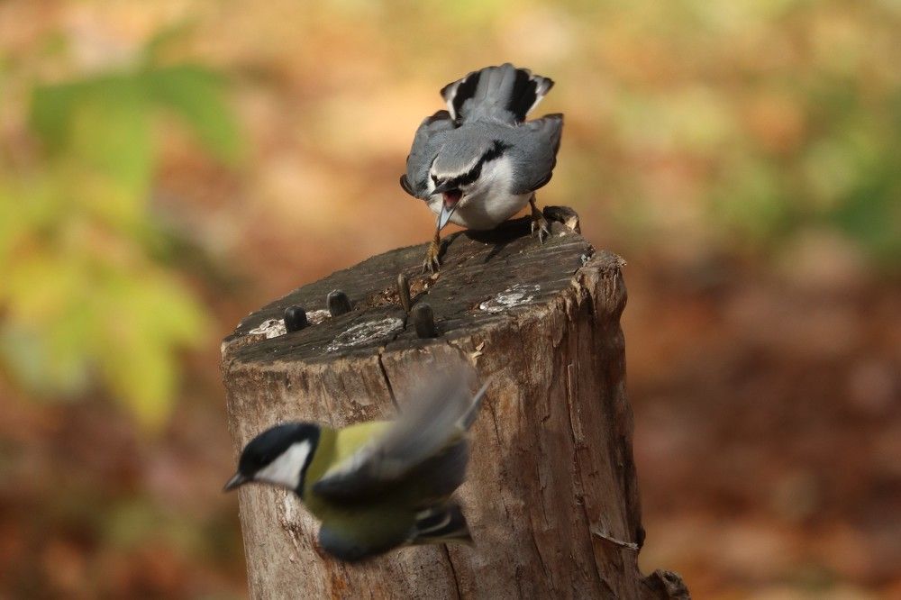 Photograph by Мария Глухова