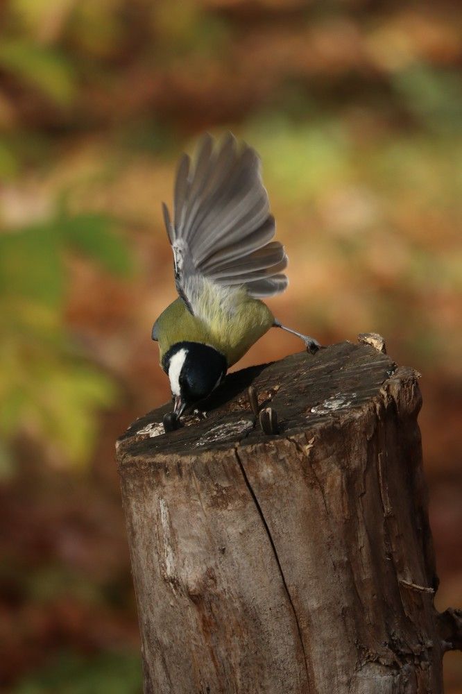 Photograph by Мария Глухова