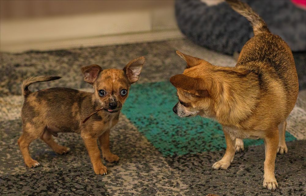 Фотография автора Igor Lukin