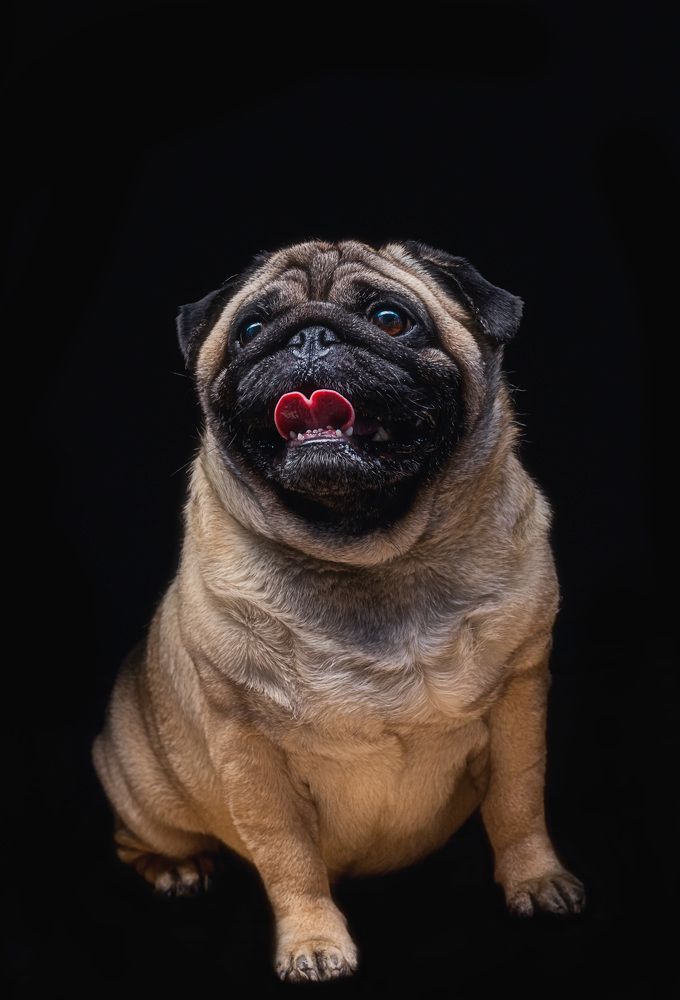 Фотография автора Igor Lukin