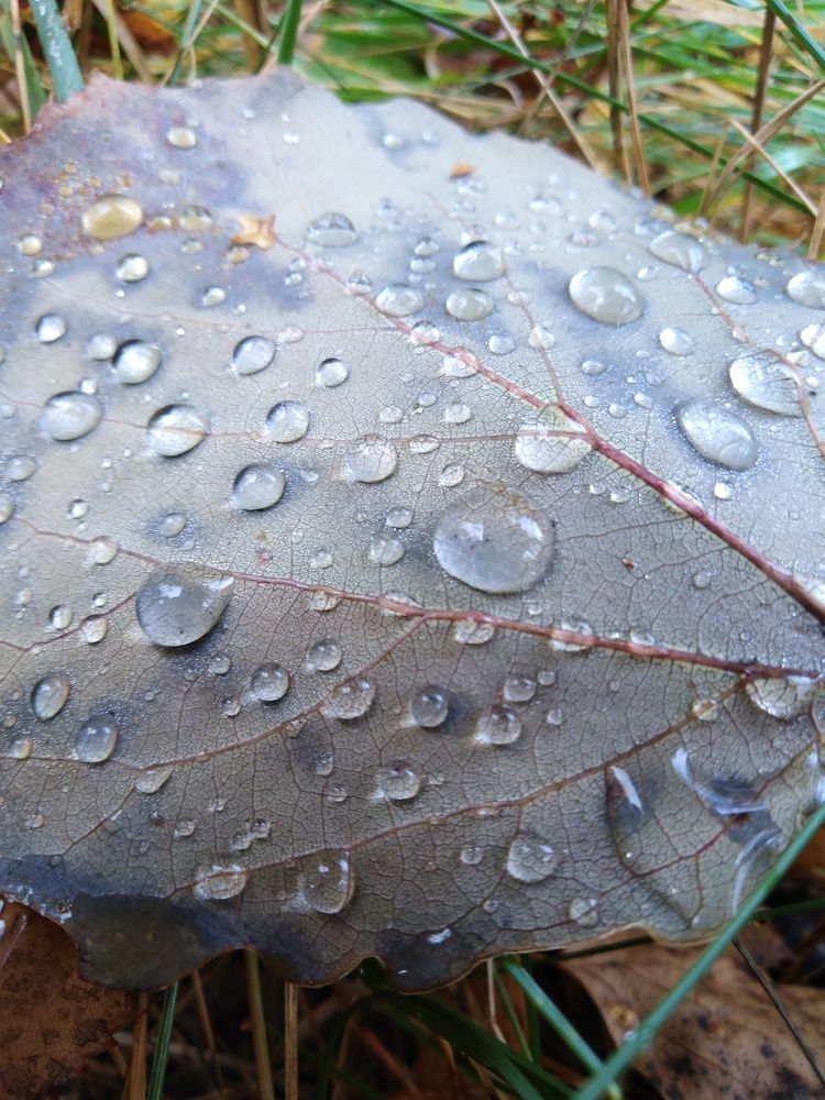 Photograph by Янина Милош