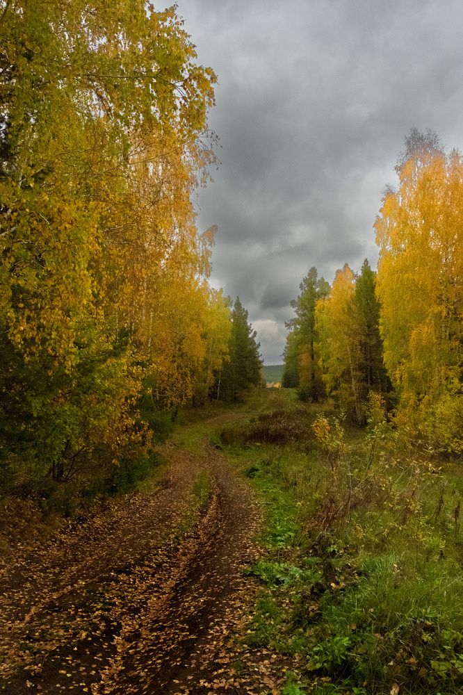 Photograph by Артём Воронин