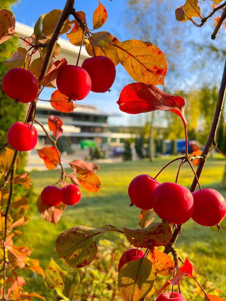 Photograph by Яна Мухина