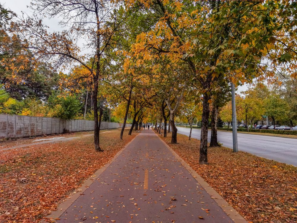 Photograph by Nikolay Draganov