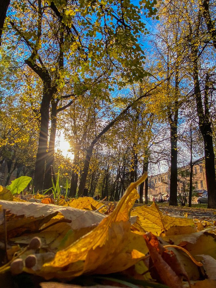 Photograph by Яна Мухина