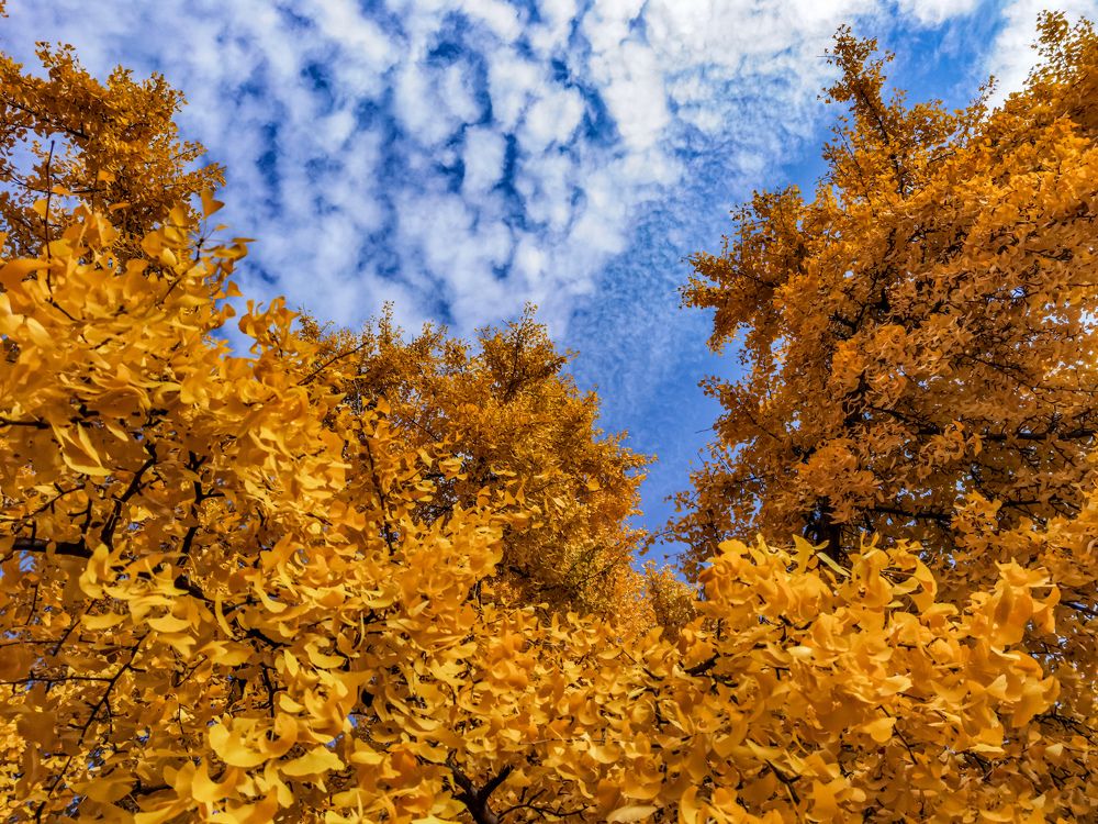 Photograph by Nikolay Draganov