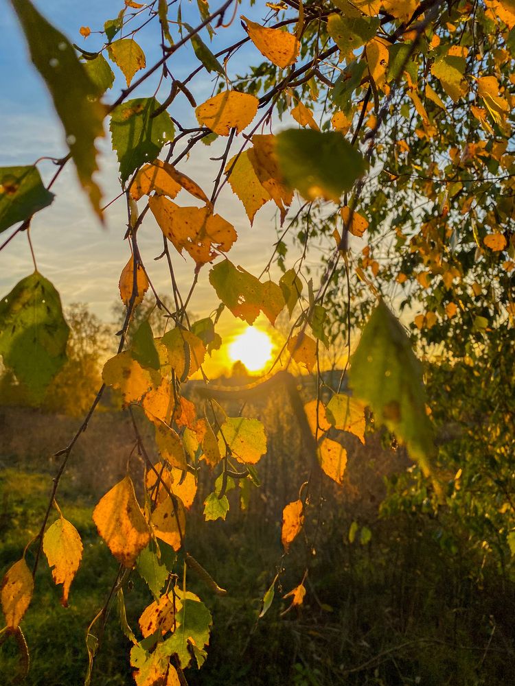 Photograph by Яна Мухина